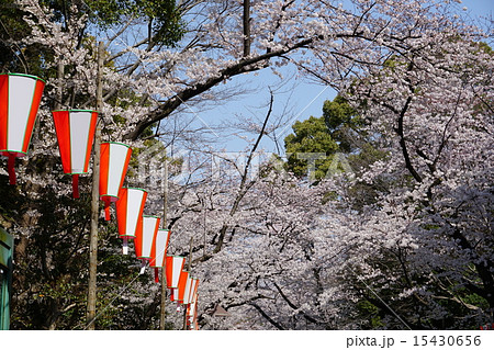 上野公園 15430656
