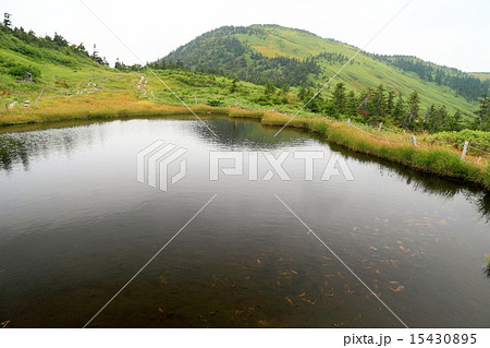 初秋の会津駒ヶ岳と駒の池 15430895