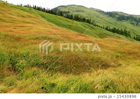 初秋の会津駒ヶ岳 15430896