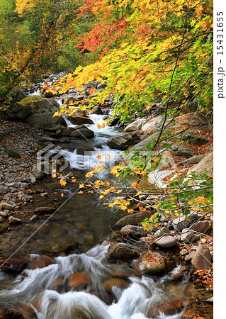 奥鬼怒渓谷の紅葉の写真素材