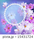 Photo frame with violets 15431724