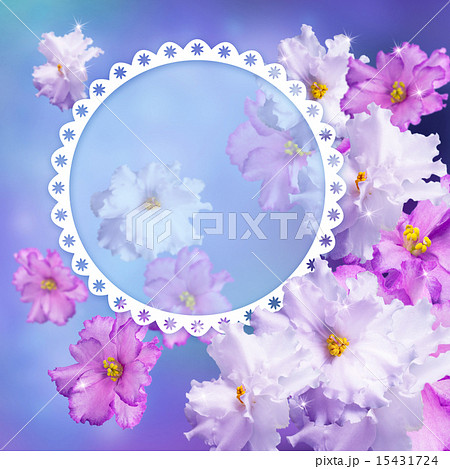 Photo frame with violets 15431724