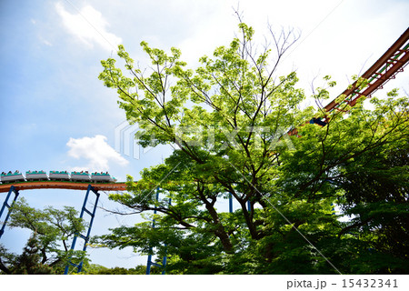 遊園地 遊園地 15432341