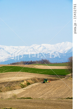 残雪の山と畑おこし 15432781