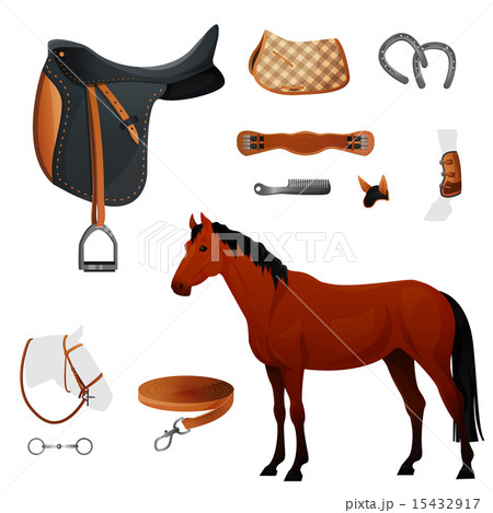 Set of equestrian equipment for horse. 15432917
