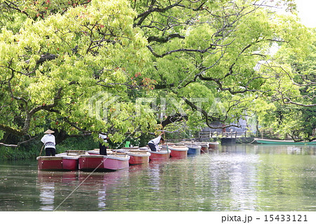 柳川のどんこ舟溜り。 15433121