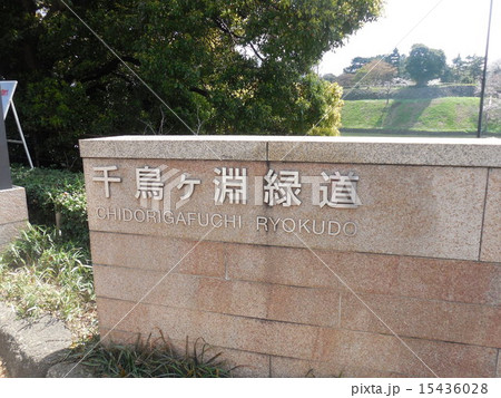 千鳥ヶ淵緑道 15436028