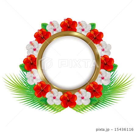 ハイビスカスのフレーム/赤と白 15436116