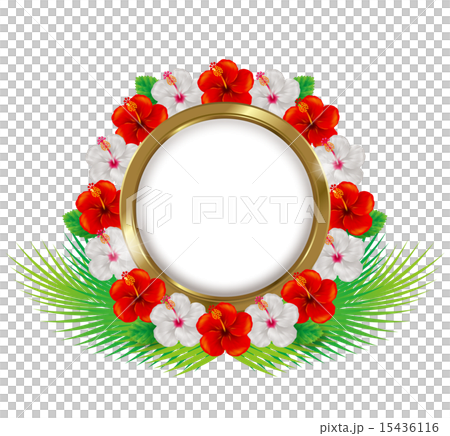 ハイビスカスのフレーム/赤と白 15436116