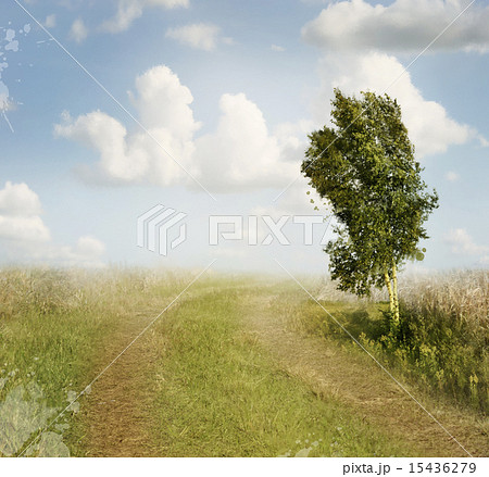 Summer Landscape Watercolor Summer Landscape Watercolor 15436279