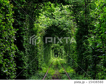 愛のトンネル ジブリの世界🌻 トンネル抜けると海🐚