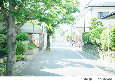 街路樹と住宅街 15436588