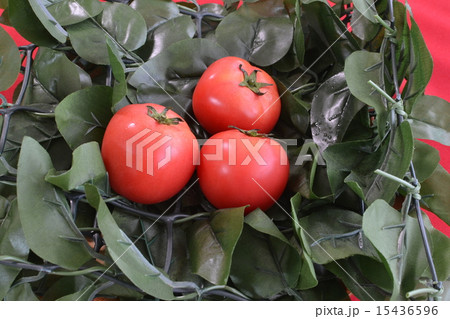 トマト１ 15436596