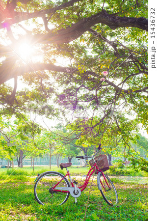 Red bicycle on green grass and sun beam 15436732