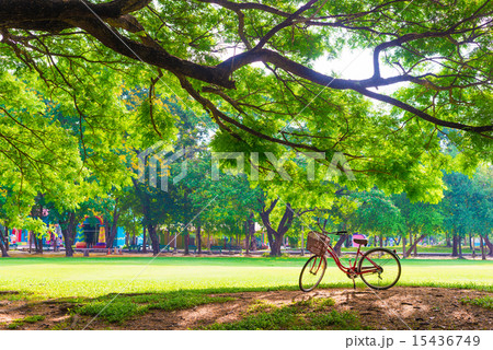 Red bicycle on green grass in morning 15436749