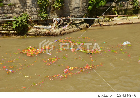 バグマティ川を流れる火葬の花 15436846