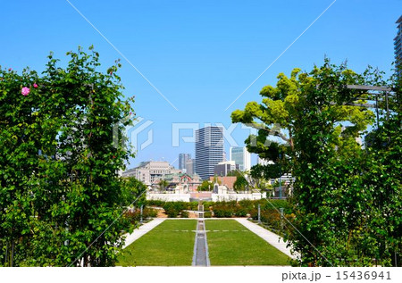 大阪　中之島公園の風景 15436941