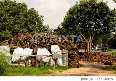 火葬の薪 15436975