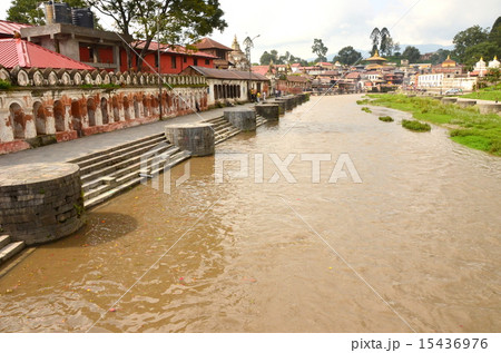 カトマンズ　火葬場の風景 15436976