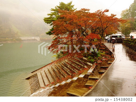 兵庫県宍粟市音水湖　引原ダムの紅葉の秋　雨 15438002