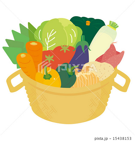 野菜11種のかごのイラスト素材