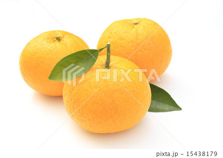 アマナツ 15438179