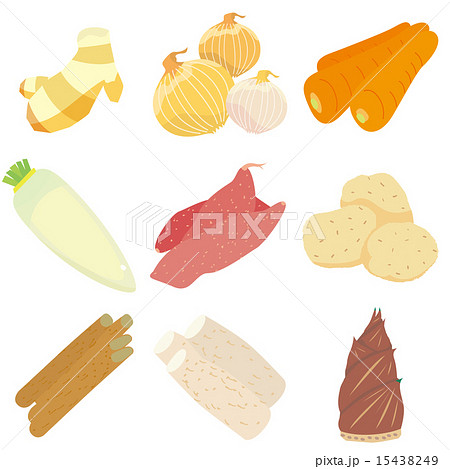 根菜9種セット 15438249