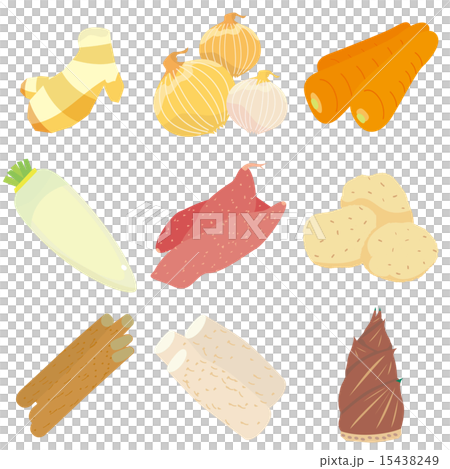 根菜9種セット 15438249