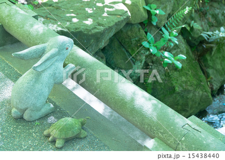 ウサギとカメ（明月院） 15438440