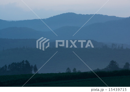 雨上がり 15439715