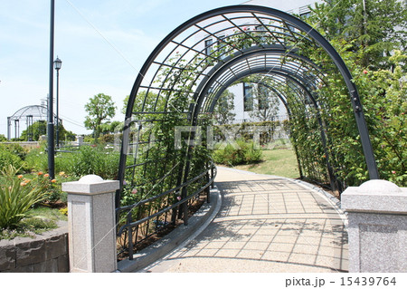 山手９９番地緑地 15439764