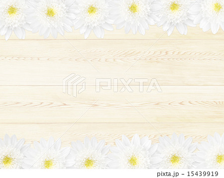 ナチュラル背景 白い花のイラスト素材