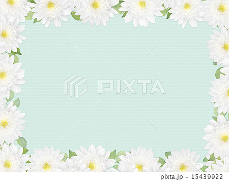 ナチュラル背景 白い花 葉のイラスト素材