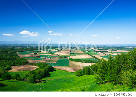 十勝平野 十勝平野 15440550