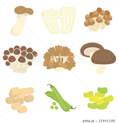 きのこと豆類9種セット 15441106