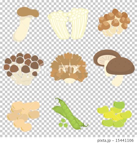 きのこと豆類9種セット 15441106