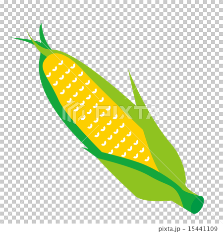 とうもろこし 15441109