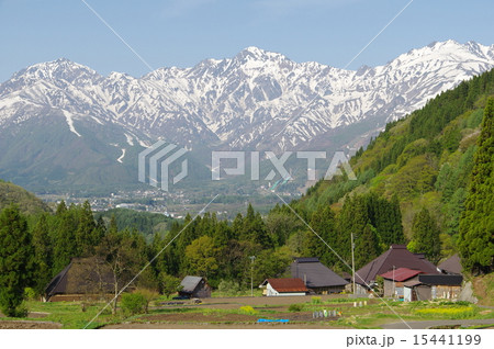 信州　白馬村　青鬼（あおに）集落の春、残雪の北アルプスを望む 15441199