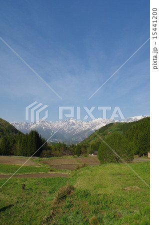 信州　白馬村　青鬼（あおに）集落の春、残雪の北アルプスを望む 15441200