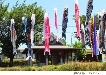 見晴台駅とコイノボリ 見晴台駅とコイノボリ 15441780