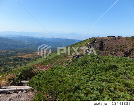 井戸岳登山道 井戸岳登山道 15441882