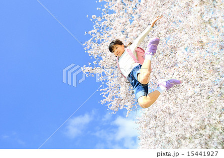 ジャンプする女の子(春、桜、ランドセル) 15441927