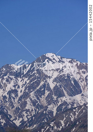 春の北アルプス　五竜岳（五龍岳） 15442002