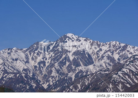 春の北アルプス　五竜岳（五龍岳） 15442003