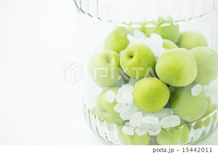 青梅 15442011