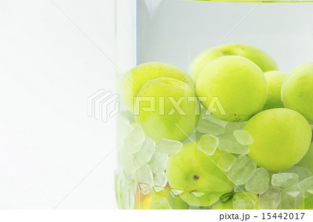 青梅 青梅 15442017