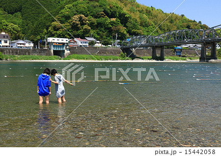 いの町紙のこいのぼり いの町紙のこいのぼり 15442058