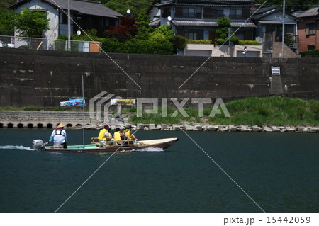 いの町紙のこいのぼり いの町紙のこいのぼり 15442059