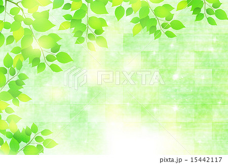 葉 初夏 背景 のイラスト素材 15442117 Pixta