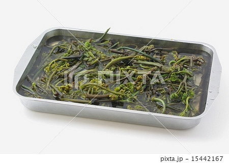 ワラビのあく抜き 15442167